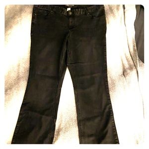 Maurices Boot Cut Black Faded Jeans Sz 20